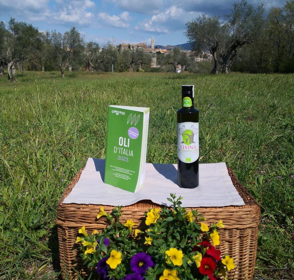 La Fattoria Barbini Couette-café