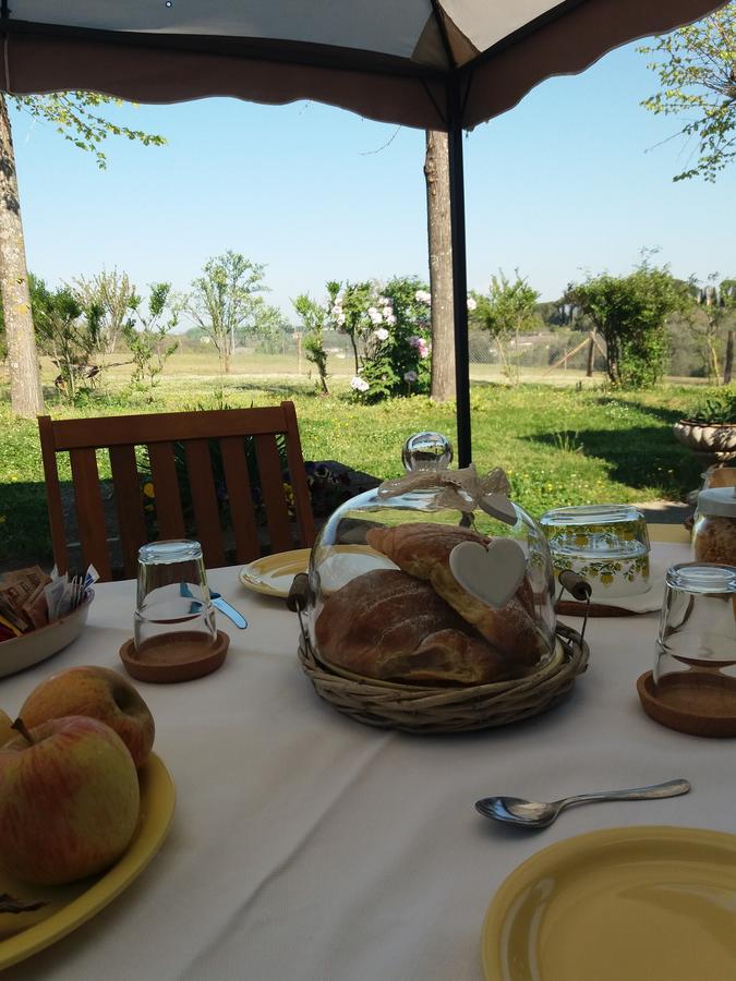 La Fattoria Barbini Couette-café *